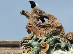 -九龙壁