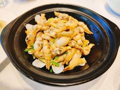 姜葱炒蛏子-双井轩(双井店)