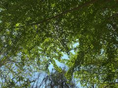 -老板恋上鱼(印象城店)