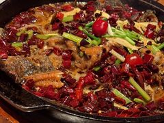 -老板恋上鱼(恒隆广场店)