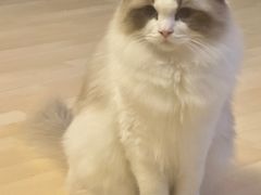 -一品淮扬 · 淮扬菜·北京万达文华酒店