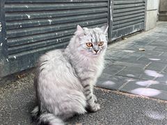 -上海市东方公证处