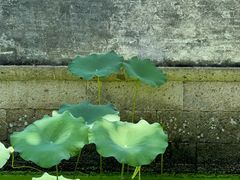 -兰亭风景区