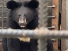 -水上乐园·欢乐世界