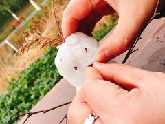 -昆山城市生态森林公园