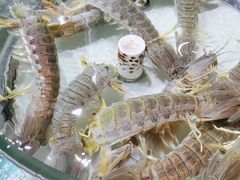 -强记海鲜·大排档(蛇口新街店)