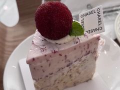 -夏佐CHASEL(横店康庄路店)