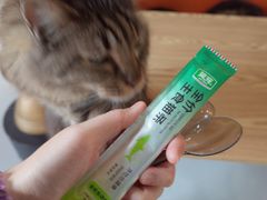 -豆逗聊愈猫阁Easy Life