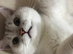 -荔康动物医院(康王北路店)