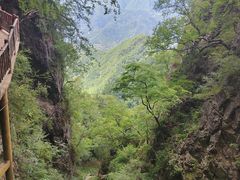 -塔云山
