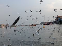 -陈小勺·东北大院(薛家岛店)