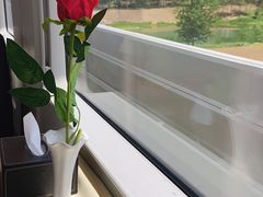 -小杨生煎(火车站北广场店)