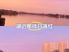 -仙湖旅游度假区