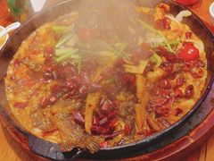 -老板恋上鱼(印象城店)