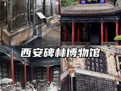 -陕西历史博物馆