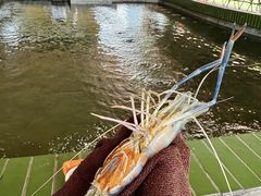 -光头佬室内钓虾场·烧烤·团建·亲子(中山八路店)