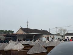 -苏州市吴中区光福窑上花果蜜饯厂