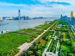 -武汉关码头(轮渡站)