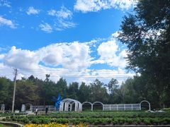 -黑龙江省森林植物园