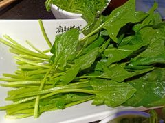 菠菜-麻辣英雄重庆火锅(常平店)