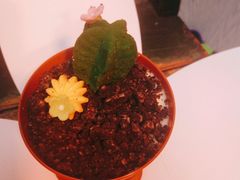 -85度C(南京龙江店)