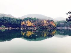 -白马涧龙池景区