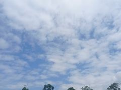 -南丹山森林王国
