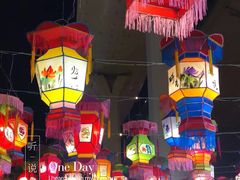 -锦江乐园舞狸花花游园会(夜场专享)
