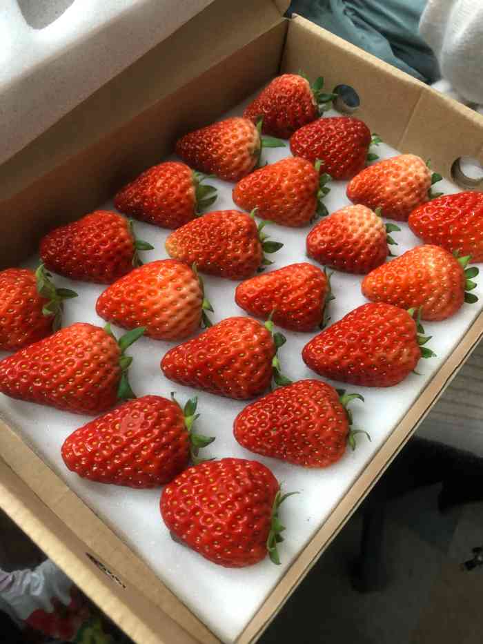 文萃广场内的每日优鲜水果店品类多价格实惠