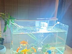 -SPA·印象足道养生(大运河度假区四望亭店)