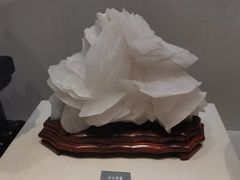 -安徽省地质博物馆