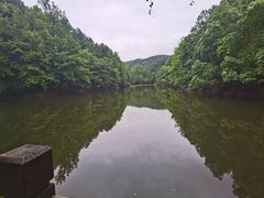 -青龙山国家森林公园