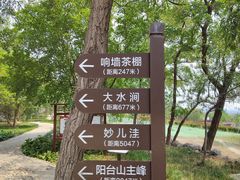 -阳台山自然风景区