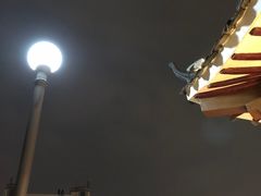 -孺子亭公园