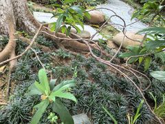 -广州神农草堂中医药博物馆
