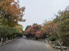 -千佛山风景名胜区