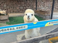 -静之湖度假区