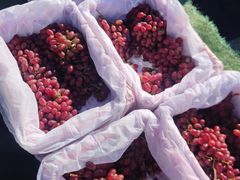 -三旗百汇商品城