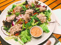 -Tubestation站点比萨(五道营店)