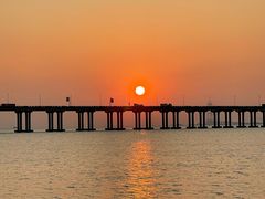 -宝安西湾红树林湿地公园