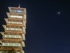 -扬州狮子楼·非遗淮扬菜(总店)