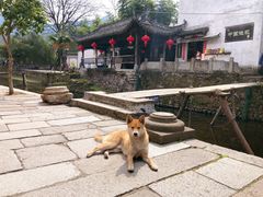 -绩溪龙川景区