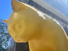 -深圳湾万象城(南山店)