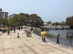 -新江湾城公园