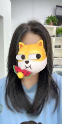 -飞梵造型
