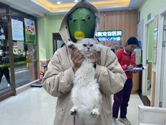 -瑞鹏宠物医院·夜间急症·心超·猫科(祖庙分店)