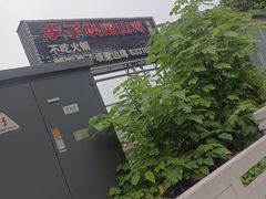 -李子坝梁山鸡(李子坝大鸡哥店)