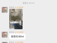 -半岛宠物医院24小时(科华中路店)