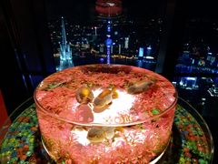 -上海环球金融中心云端足球盛典