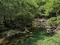 -祁门牯牛降观音堂风景区